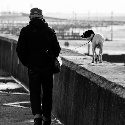 Pet Terapia beneficia saúde dos idosos em contato com animais